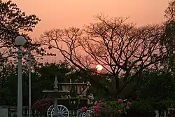 The Ottoman or Buggy