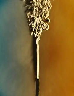 Schlieren image showing the thermal convection plume rising from an ordinary candle in still air. This photograph clearly shows the transition from laminar to turbulent flow.