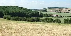 Lamsey Farm, Little Gaddesden