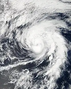 A visible satellite image of a Category 1 hurricane on September 17.