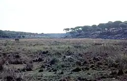 Looks like this Site of Community Interest has an image. Don't worry, you can take one of your own, and upload it too!