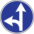 Straight ahead or left turn permitted