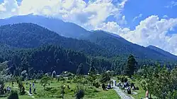 Lavender Park Pahalgam Anantnag Kashmir