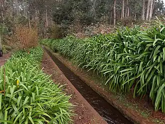 Levada do Rei, Madeira, PR 10, near trailhead