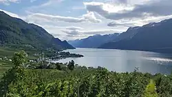 Orchards overlooking the fjord