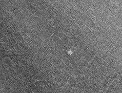 Lomonosov Crater with polygonal patterned ground, as seen with Mars Global Surveyor.