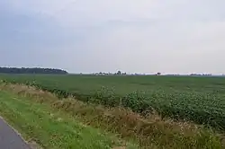 Fields north of Weston