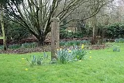 Churchyard cross, St Swithun's churchyard