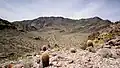 Looking south into the South Nopah Range Wilderness Area, Inyo County, California (2017)