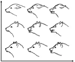 Image 47A drawing by Konrad Lorenz showing facial expressions of a dog - a communication behavior. X-axis is aggression, y-axis is fear. (from Dog behavior)