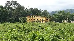 Loreto High school, Now Overgrown with plants