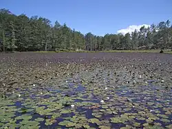 Image 19Lura Lakes are the glacial lakes of the Lurë Mountains, Albania (from Lake)