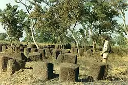 Image 5Megalithic alignments in Senegal (from History of Senegal)