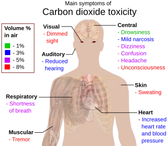 Diagram of the upper human body with callouts naming the symptoms that affect different parts of the body.