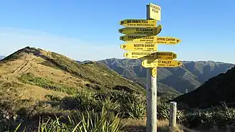 Makara Peak Mountain Bike Park summit