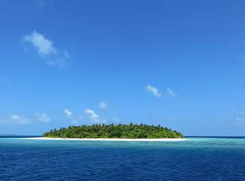 A typical desert island of Baa atoll, with its reef on the first ground.