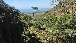 Looks like this Site of Community Interest has an image. Don't worry, you can take one of your own, and upload it too!