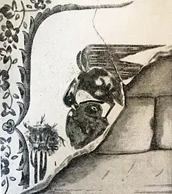 The eagle and the pheasant