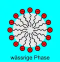 Aggregate of anionic surfactants in water (spherical micelle)
