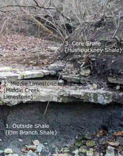 This image illustrates the first three stages of a typical cyclothem as found in eastern Kansas and western Missouri. **Stage 1, Outside Shale (non-marine). **Stage 2, Middle Limestone (fast-rising seawater). **Stage 3, Core Shale (deep seawater). **In situ, shale layers are often seen as slumping hillside. As the Hushpuckney Shale layer in this photo, the shale is covered with soil and not seen. **Middle Limestone often has beds separated by a thin shale layer - as we see here with the Middle Creek Limestone's two relatively thin beds of limestone separated by a very thin layer of shale. The two limestone beds range from 0.5 to 1.5 ft in thickness, and the thin shale layer is just a fraction of an inch. Here, you see the effects of water erosion on the two separated layers of limestone. (Bed of Cedar Creek in Lees Summit, Missouri)