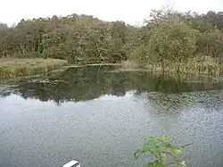 The Moors, Bishop's Waltham