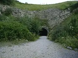A partly overgrown concrete entrance leads into a dark tunnel under a grass—covered hillside, with a gravel path in the foreground