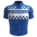 Minerva Cycling Team jersey