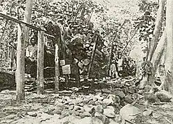 Monorail for 6 cubic metres (210 cu ft) or approx 5 tonnes timber