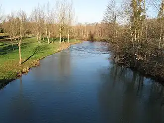 The Loing in Montcresson