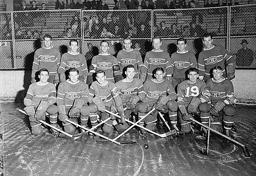 Two rows of seven hockey players pose while on the ice. A small group of fans observe in the background.