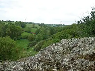 Valley of Bray Creek