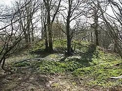 Motte at Castlebythe