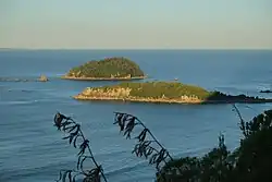 A view overlooking two grassy islands, one connected to the shore by a thin strip