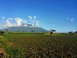 From Naga, Camarines Sur