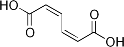 Skeletal formula of cis,cis-muconic acid