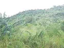 King Kabarega resided here during his battles with the British (footprint prints are available)