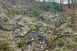 Quarry cliff face with exposed limestone