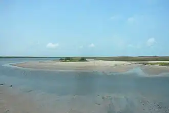 The back side of the island with mudflats and marshes provides valuable habitat for fish and birds, Mustang Island State Park.