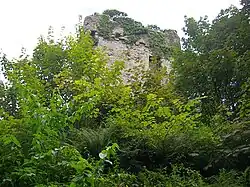 Myrton Castle on the border of old Glasserton-Mochrum parishes
