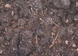 Dung used as fertilizer
