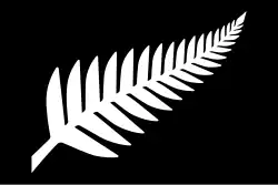Silver Fern (Black & White) by Kyle Lockwood