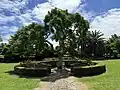 A view of the Octagonal garden at Nathan Homestead, 24 November 2024