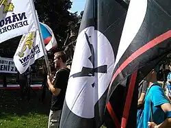Young men holding flags