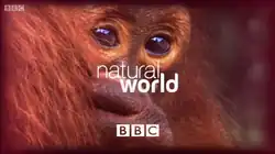 Natural World title card