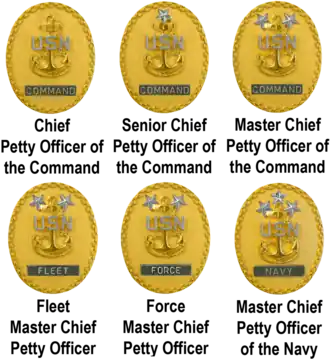 Command Senior Enlisted Leader Identification Badges