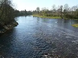 Mouth of Navesti into Pärnu River.