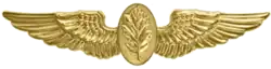 Navy Flight Nurse insignia