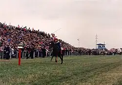 Ljubičevo Equestrian Games