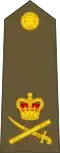 Lieutenant-general