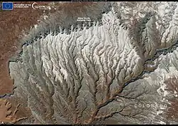 New Wintering Wildlife Conservation Initiative in Colorado, Feb. 2024